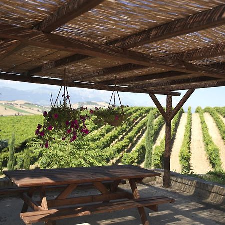 Contado San Lorenzo B&B And Wine Castilenti Extérieur photo