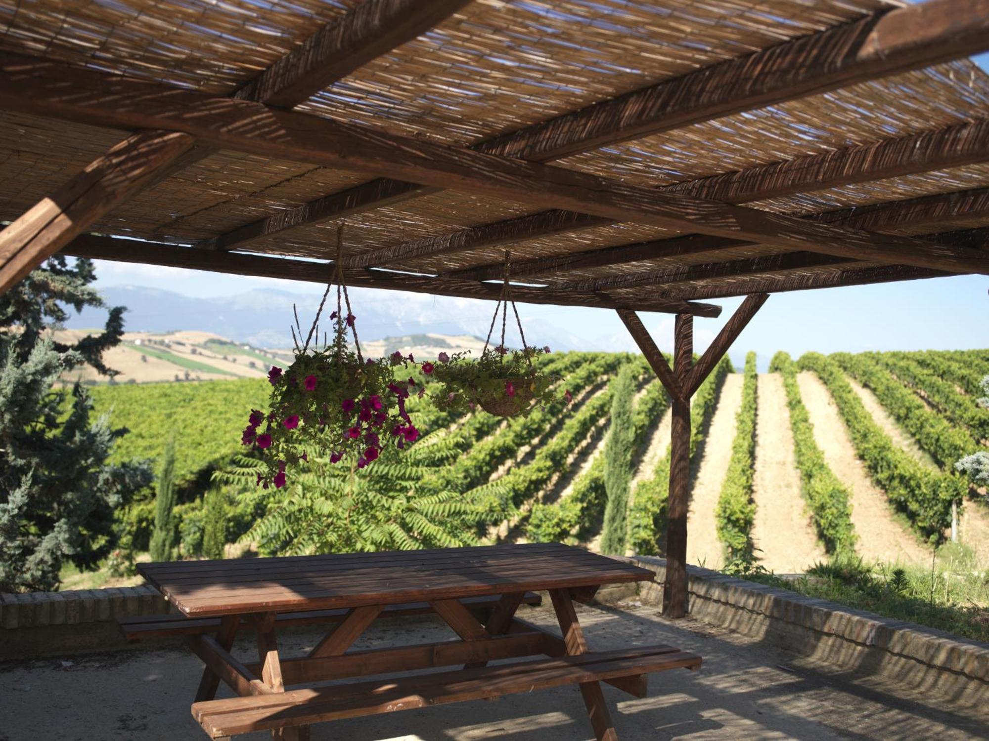 Contado San Lorenzo B&B And Wine Castilenti Extérieur photo