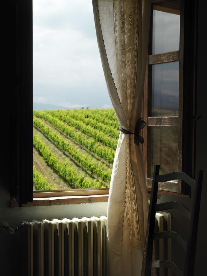 Contado San Lorenzo B&B And Wine Castilenti Extérieur photo